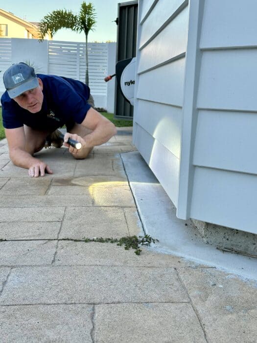 Building and Pest Inspections