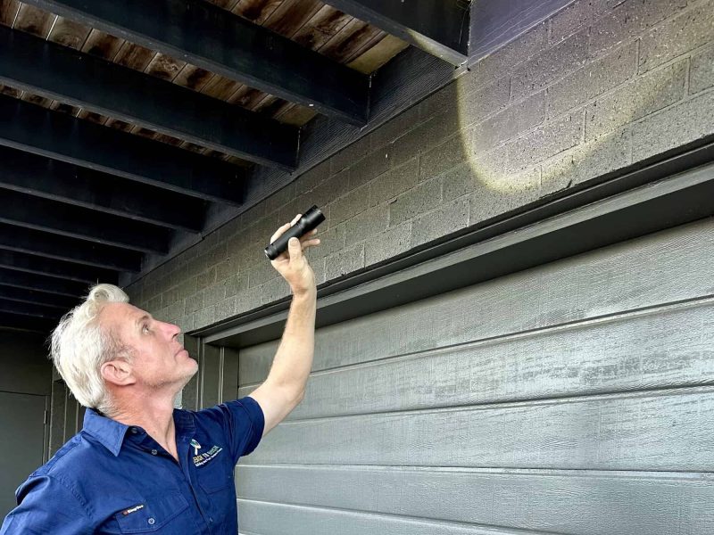 Building and Pest Inspections
